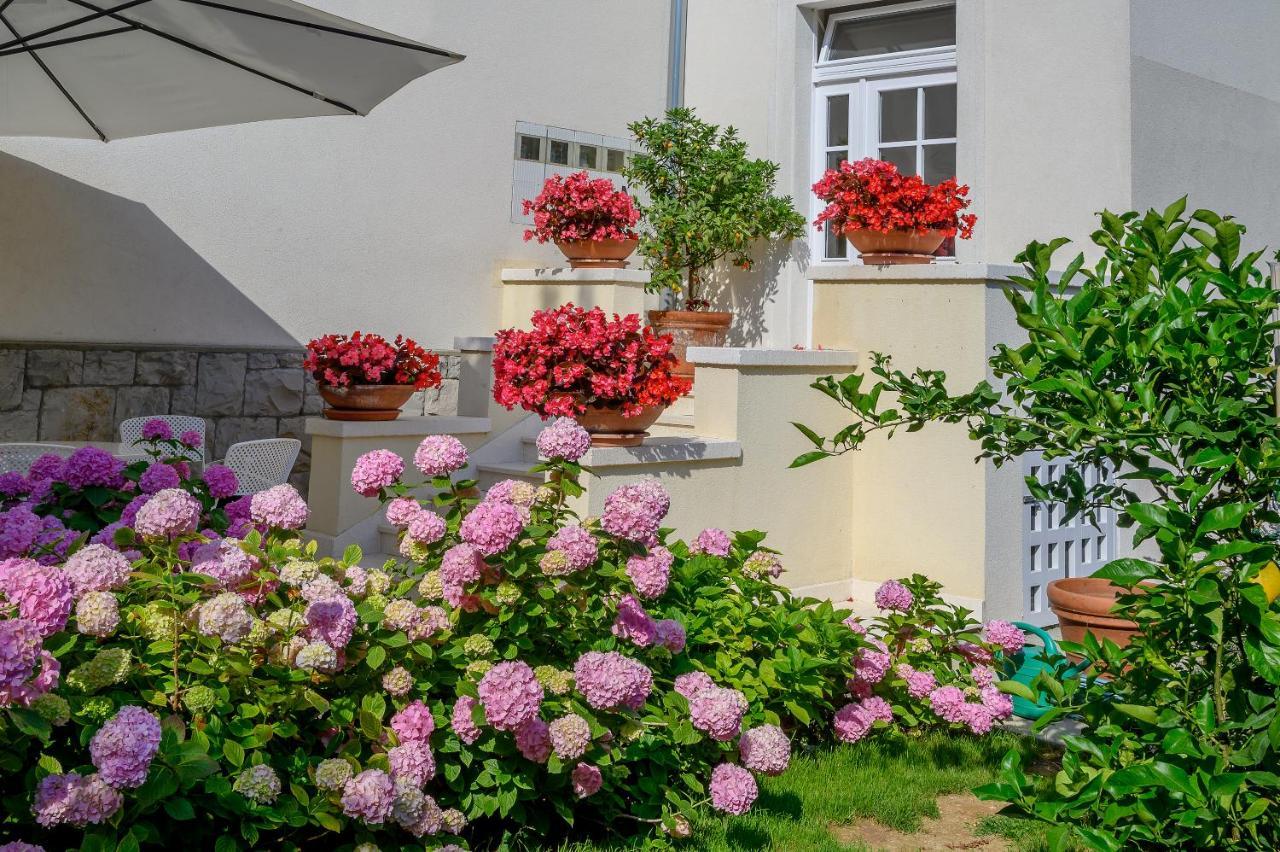 Palace Schoen Milesi - Esense Of Prestige - Private Pool - Free Parking - Old Money Style Luxury Rooms - Walking Distance To The Old Town, The Beach And All Amenities - Buralux Properties Split Exterior foto
